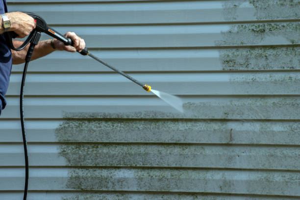 Professional Pressure Washing in Descanso, CA